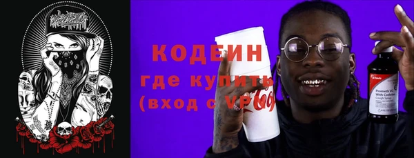 индика Балахна