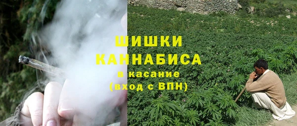 индика Балахна