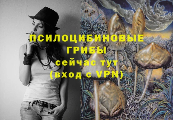 индика Балахна